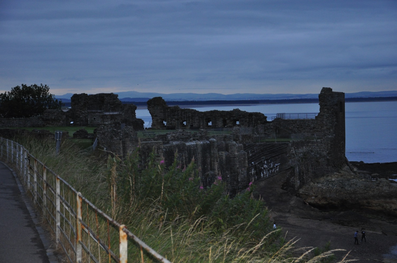 Stacks Image 1349